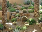 Kaktusy, Ogród