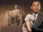 Prezydent, USA, Barack Obama