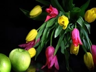 Kolorowe, Tulipany, Zielone, Jabłka