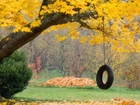 Jesień, Drzewo, Liście, Opona