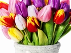 Wazon, Różnokolorowe, Tulipany