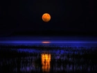 Noc, Jezioro, Księżyc