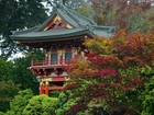 Dom, Złote, Zdobienia, Japonia, Drzewa