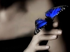 Dłoń, Motyl