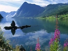 Jezioro, Jolstravatnet, Norwegia, Góry