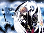 Tsubasa Reservoir Chronicles, skrzydła, łańcuch, postać