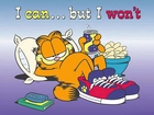 Odpoczywający, Garfield