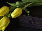 Żółte, Tulipany, Drewniany, Kuferek