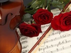 Skrzypce, Instrument, Muzyczny, Nuty, Róże