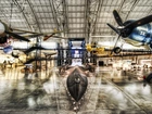 Muzeum, Lotnictwa, Samoloty, HDR