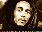 Bob Marley, Usta