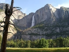 Drzewa, Łąka, Góry, Park, Narodowy, Yosemite, Kalifornia