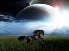 Koń, Trawa, Planety