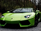 Zielony, Lamborghini Aventador