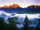 Park, Narodowy, Grand Teton, Góry, Mgła, Las