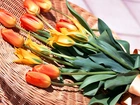Bukiet, Tulipany, Kosz