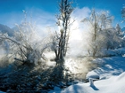 Zimowy, Widok, Rzeczka, Drzewa, Śnieg
