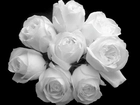 Bukiet, Róże, Czarno-Białe