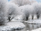 Zima, Rzeka, Drzewa, Szron