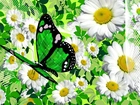 Kwiaty, Rumianek, Zielony, Motyl, Grafika