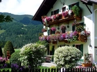 Dom, Góry, Ogród, Austria