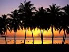 Palmy, Morze, Zachód słońca