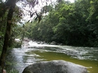 Rzeka, Kamienie, Drzewa, Mossman, Australia