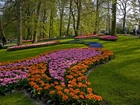 Park, Kwiaty, Drzewa, Trawniki