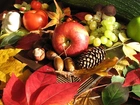 Owoce, Jesieni, Liście