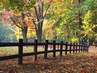 Jesienny, Park, Drewniany, Płotek