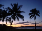 Zachód Słońca, Palmy, Jezioro, Australia