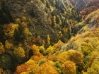 Jesień, Zalesione, Góry