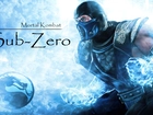 Mortal Kombat, Sub-Zero