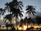 Zachód Słońca, Palmy, Oahu, Hawaje