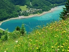 Łąka, Jezioro, Zalesione, Góry, Glarus, Szwajcaria