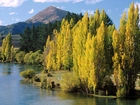 Jezioro, Drzewa, Góry, Wanaka, Nowa Zelandia