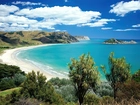 Morze, Plaża, Wysepka, Roślinność, Nowa Zelandia