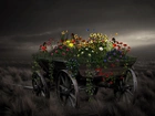 Wóz, Kwiaty, Motyle