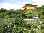 Złoty, Pawilon, Jeziorko, Roślinność, Kioto