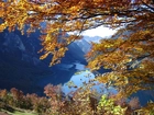 Jezioro, Góry, Gałęzie, Glarus, Szwajcaria