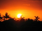 Zachód Słońca, Palmy
