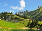 Szwajcarskie, Góry, Jezioro, Domek