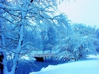 Zima, Rzeka, Mostek, Ośnieżone, Drzewa