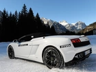 Białe, Lamborghini, Gallardo, Zima, Góry, Drzewa