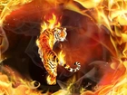 Ogień, Tygrys
