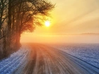 Zima, Zachód Słońca, Droga, Zakręt, Drzewa