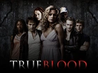 True Blood, Bohaterowie, Serial