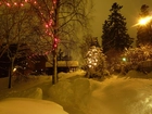 Zima, Dom, Oświetlone, Drzewa