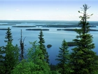Jezioro, Drzewa, Koli, Finlandia
