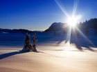 Promienie, Słońca, Drzewa, Śnieg, Zima